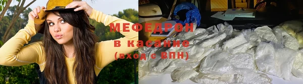 прущие грибы Магас