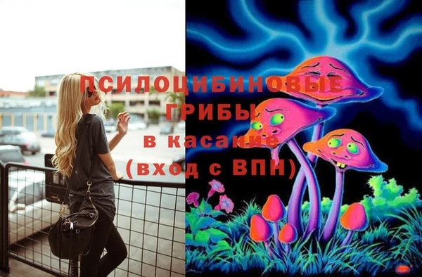 прущая мука Магадан