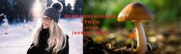 таблы Пролетарск
