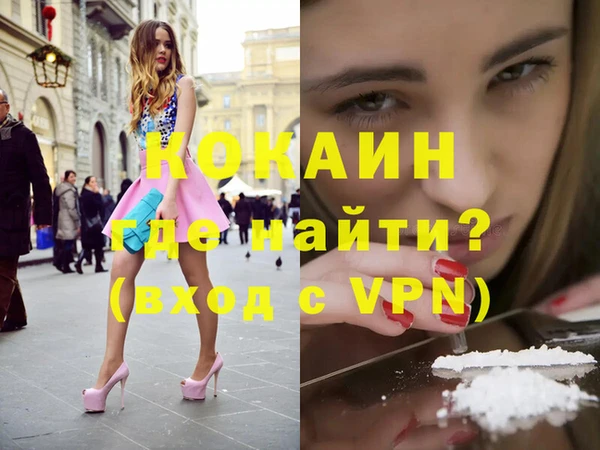 прущие грибы Магас