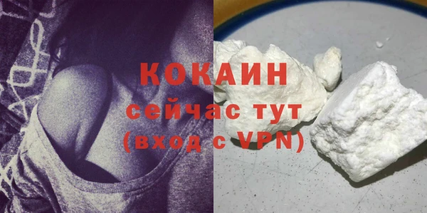 прущие грибы Магас
