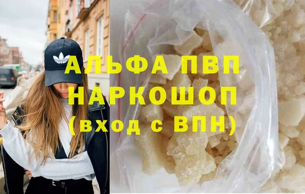 прущие грибы Магас