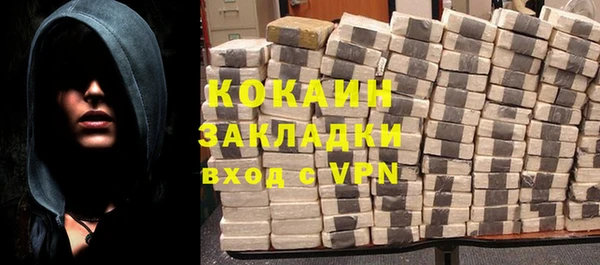 прущие грибы Магас