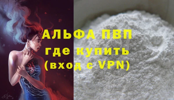 прущие грибы Магас