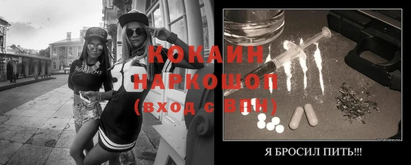прущие грибы Магас
