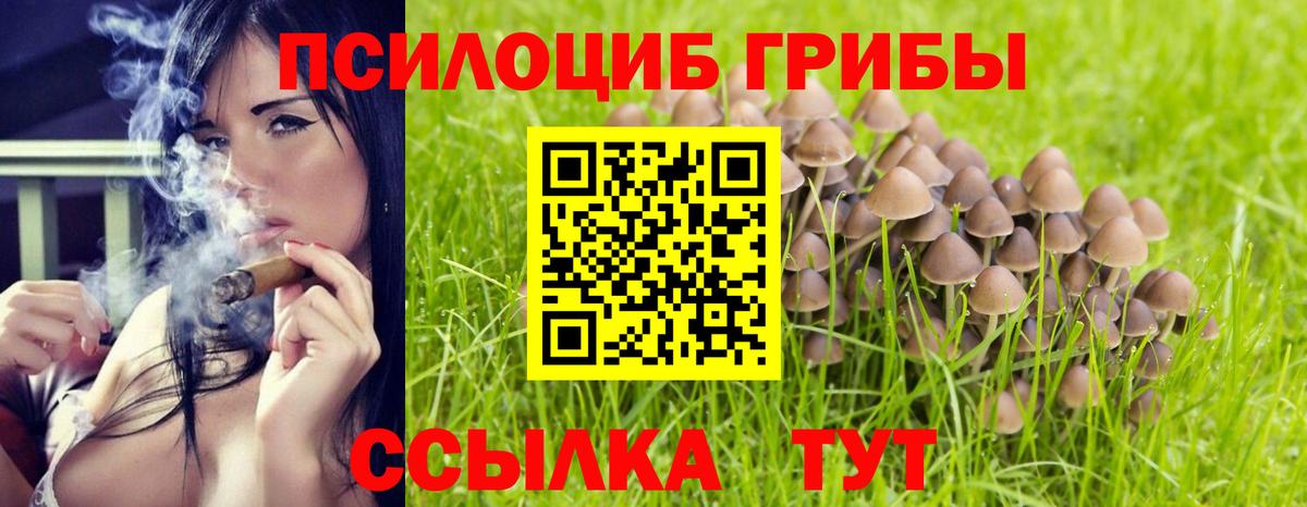 где можно купить наркотик  Вход с VPN  Великий Новгород  Галлюциногенные грибы прущие грибы 