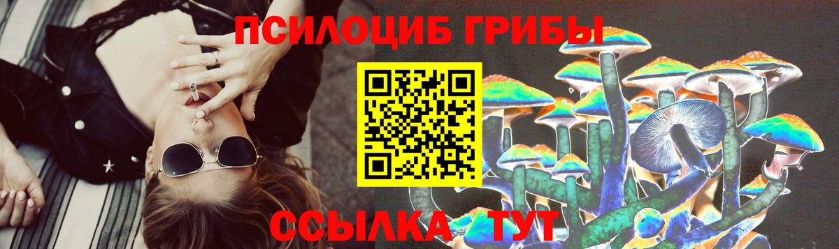 Псилоцибиновые грибы Cubensis Великий Новгород